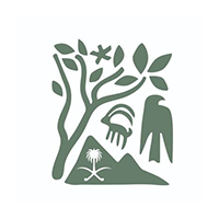 وظائف هيئة تطوير الملك سلمان 2025: رواتب تصل لـ10500 ريال | فرص عمل ورواتب عالية في السعودية